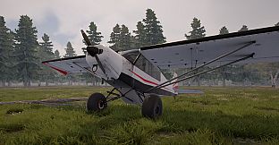 Deadstick - Bush Flight Simulator