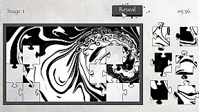 Puzzle Piecer: The Pattern