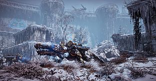Horizon Zero Dawn™