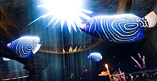 Essence of Illumination: The Beginning