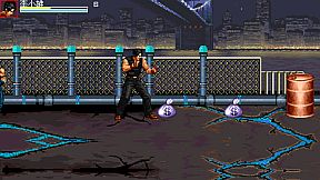 Inspector - 生化战警