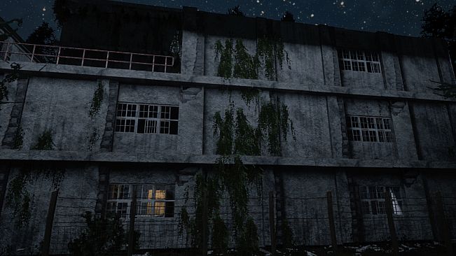 Darkness in the Forest