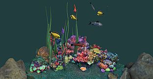 Puzzling Places - Summer Dive