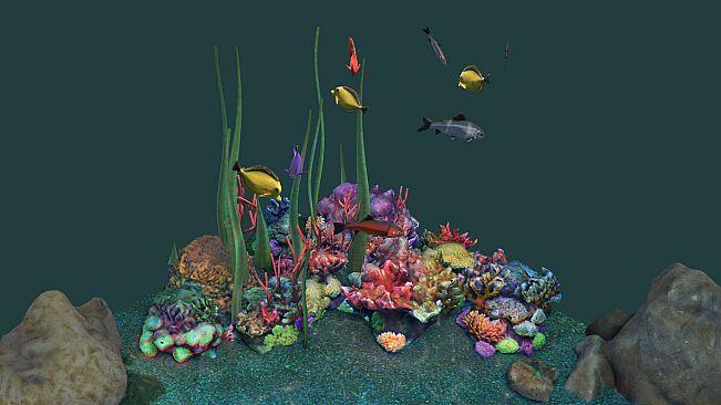 Puzzling Places - Summer Dive