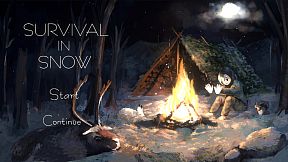 Survival On Snow