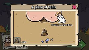 First Name SHI, Last Name Wang