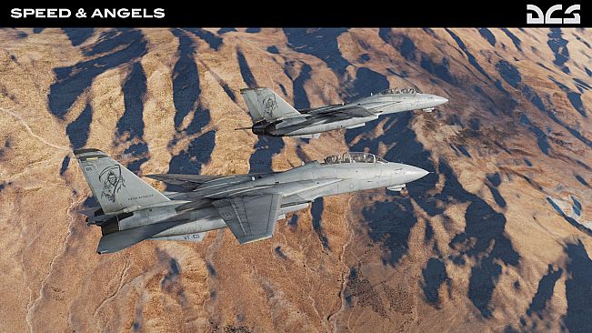 DCS: F-14B Speed and Angels Campaign