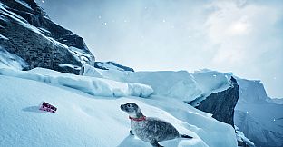 Wildlife Rescue Simulator