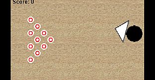 Project: Summer Ice Bowling Online