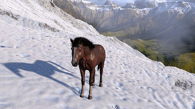 HORSE LIFE: find horses in open world, survive in wild nature as a foal or pony