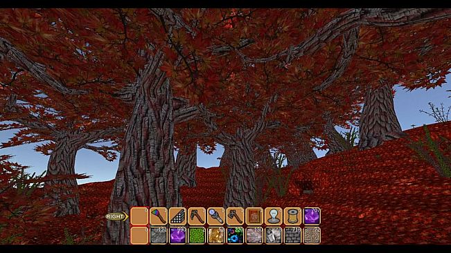 Hoarders Realm
