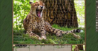 Pixel Puzzles Traditional Jigsaws Pack: Cats