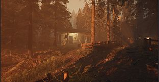 Dark Memories: Investigation