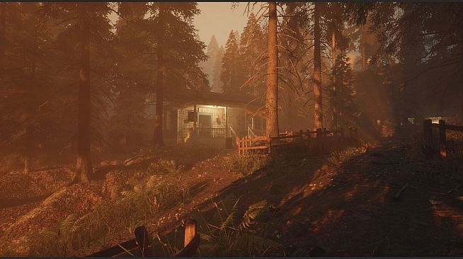 Dark Memories: Investigation