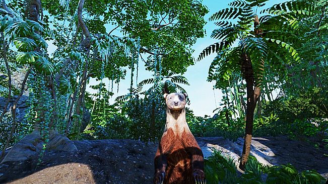 VR Animal Kids Rumble