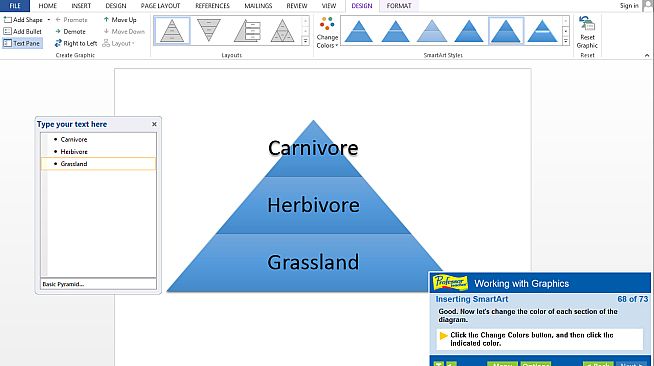 Professor Teaches Word 2013 & 365