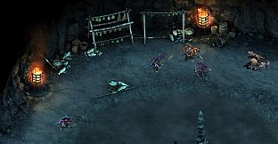 Pillars of Eternity - The White March Part I