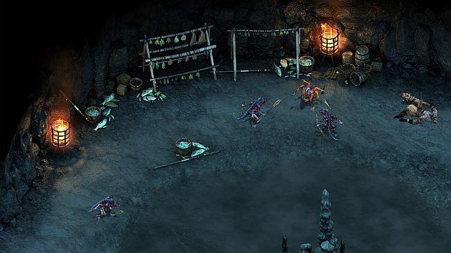 Pillars of Eternity - The White March Part I