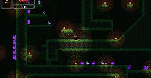 Ducki's Descent