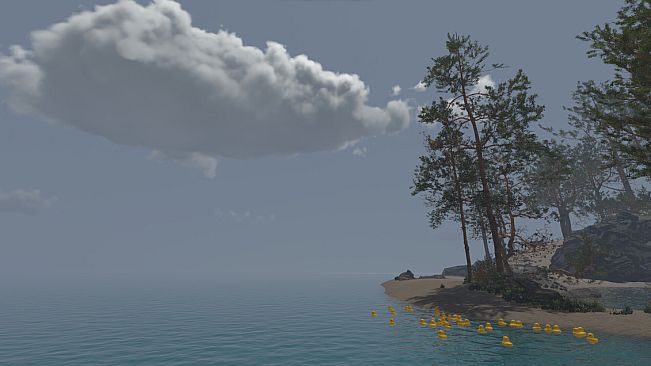 Plastic Ducks! World Simulator