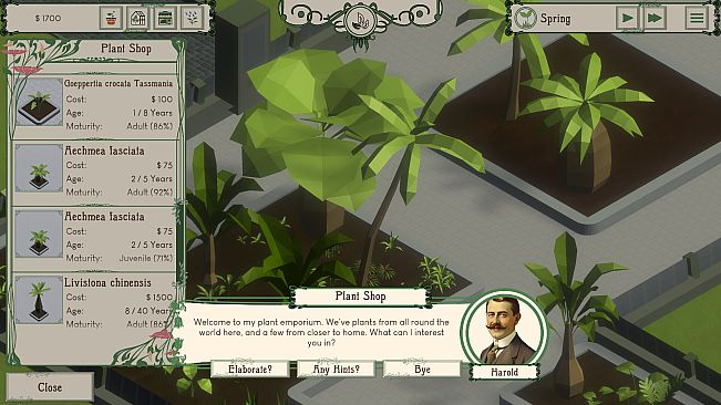 Palm Paradise Garden