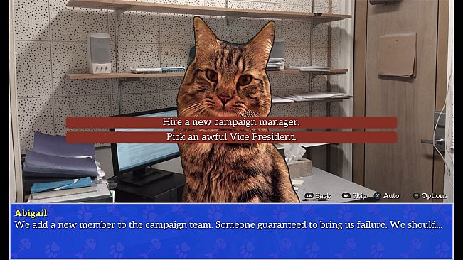 Cat President: A More Purrfect Union