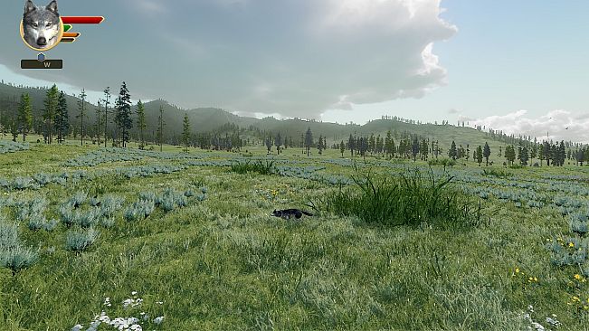 WolfQuest Anniversary - Tower Fall