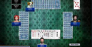 Hoyle Official Card Games