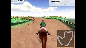 Reiterland - Meine Rennpferde