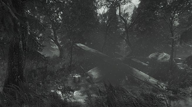 Investigator - New Year DLC