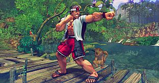 USFIV: Shoryuken Vacation Pack