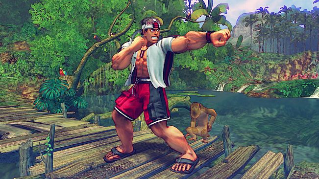 USFIV: Shoryuken Vacation Pack