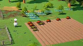 Wild Roots : Chef Vs Critters