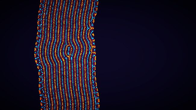 Parametric Creature: Lab