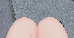 Project Exhibitionist