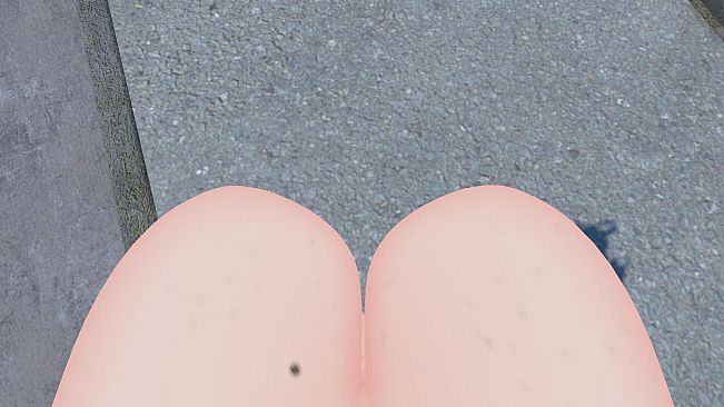 Project Exhibitionist