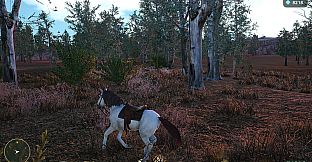 Horse Spirit Valley 2