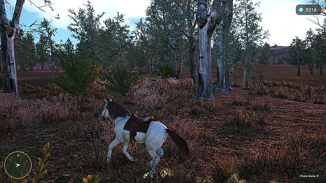 Horse Spirit Valley 2