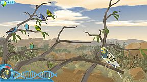 Budgie Genetics Simulator