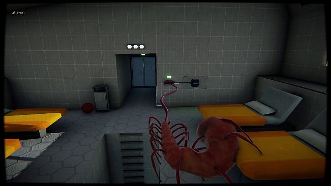 Nervemite