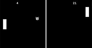 Endless Furry Ping-Pong