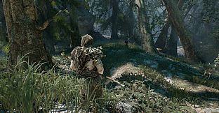 Last Reach