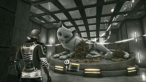 M.E.C.H.A.: Memory Erasure Control of Hover Attractor