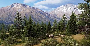 Way of the Hunter - Elkcrest Island