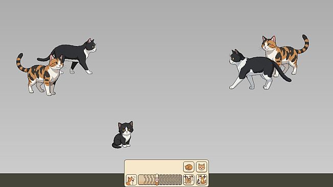 Nothing But Cats