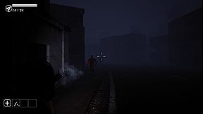 Anomalous Zone ███