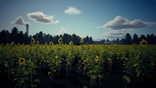 Death From Above: A Ukrainian Drone Warstory