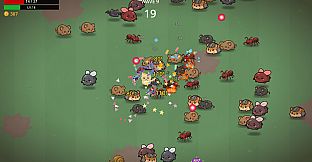 Cute Kitty WAR