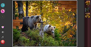 Nature & Wildlife - Jigsaw Puzzle - Expansion Pack 5