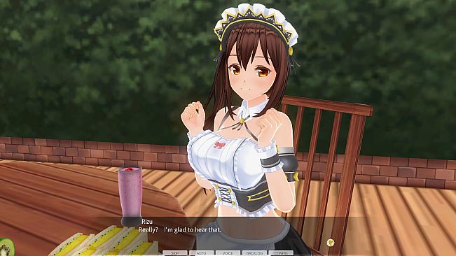 CUSTOM ORDER MAID 3D2 Friendly and Slightly Naughty Woman GP-01Fb